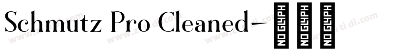 Schmutz Pro Cleaned字体转换